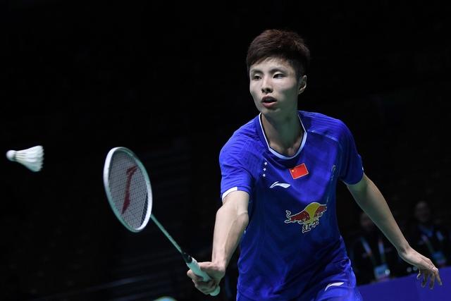 的两套分支 的两套分支